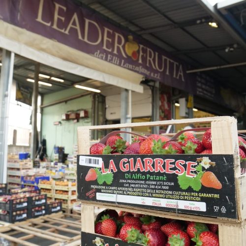 LeaderFrutta (39)