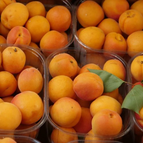 LeaderFrutta (82)